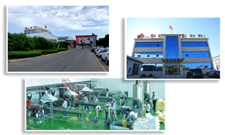 廣東貼標機生產廠家
